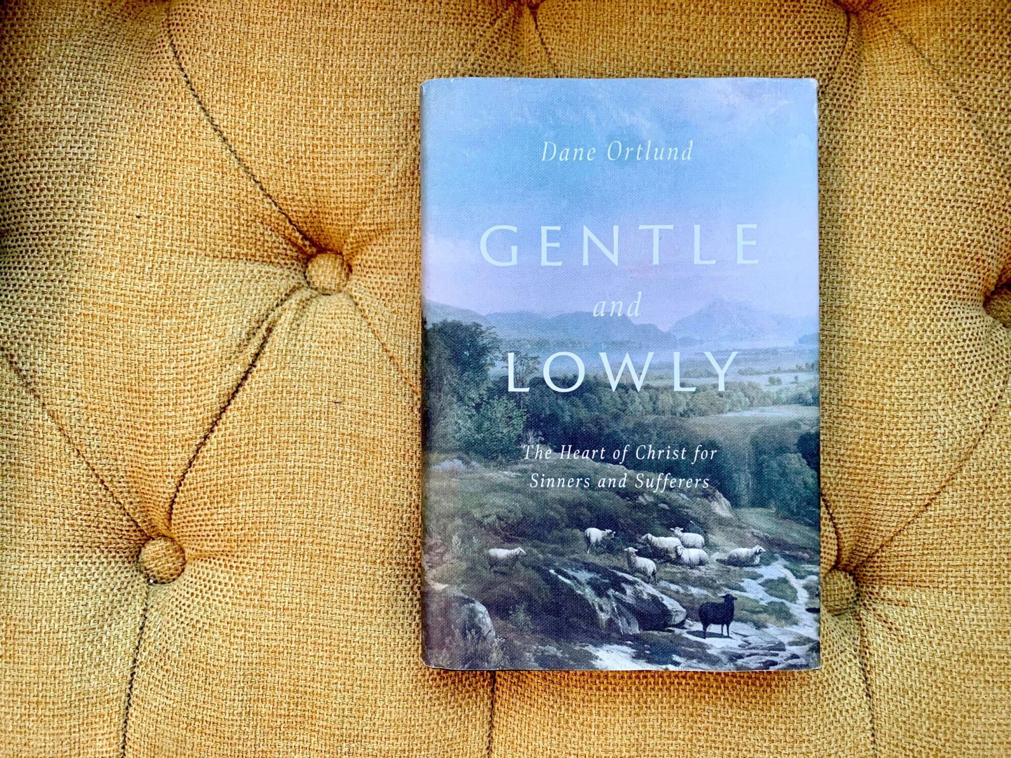 book review gentle and lowly