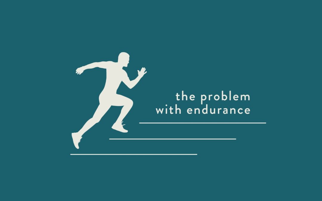 The Problem with Endurance